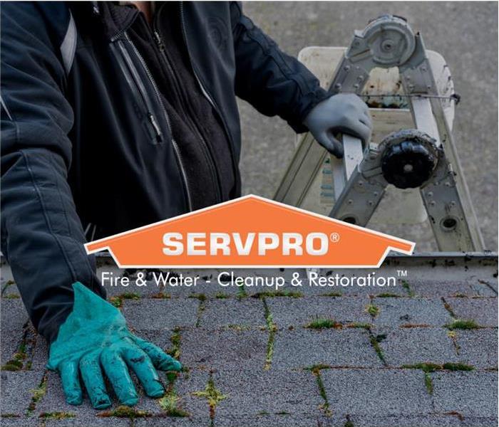 Male in grey worksuit with blue gloves on a ladder inspecting a roof with grass growing up in the shingles with the SERVPRO l